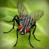 /album/v-mire-interesnogo/photolia-a01-jpg/