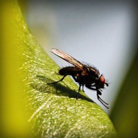 /album/v-mire-interesnogo/photolia-a04-jpg/