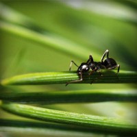 /album/v-mire-interesnogo/photolia-a05-jpg/