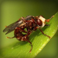 /album/v-mire-interesnogo/photolia-a06-jpg/