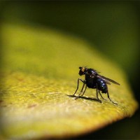 /album/v-mire-interesnogo/photolia-a07-jpg/