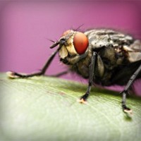 /album/v-mire-interesnogo/photolia-a08-jpg/